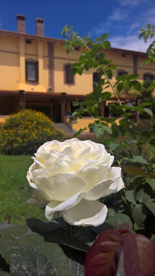 Boma Countryhouse Casale Bufalotta Ngoại thất bức ảnh